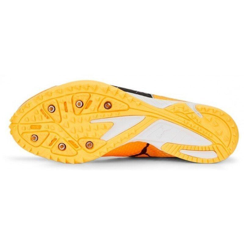 Pointes de Cross Puma Evospeed Haracka 7 5/5