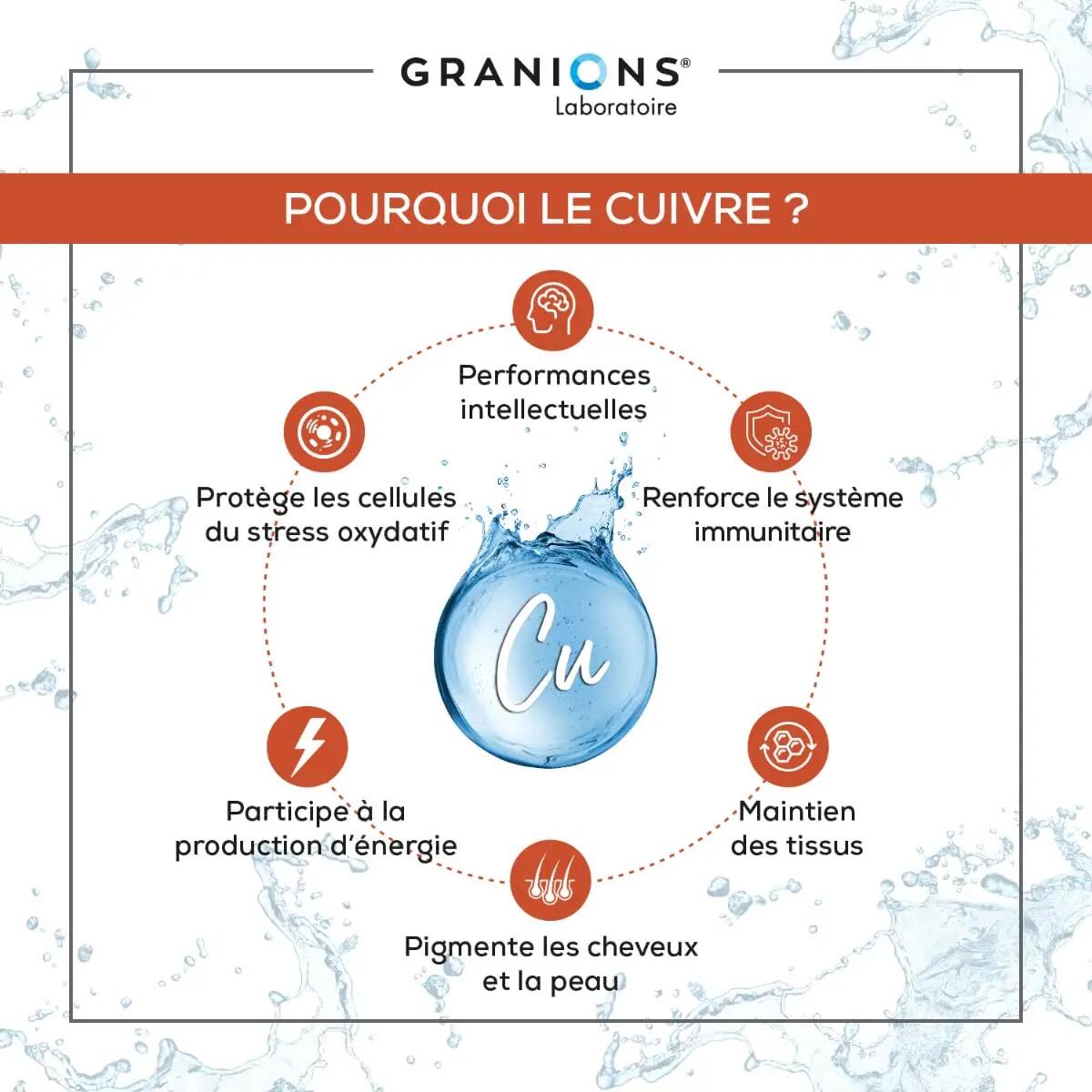 Cuivre 2000 µg - 60 gélules 2/7