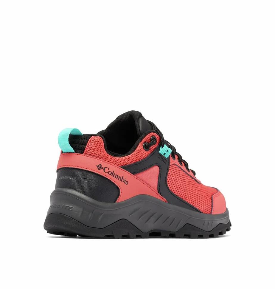 Buty Trailowe Damskie Columbia Trailstorm Ascend Wp