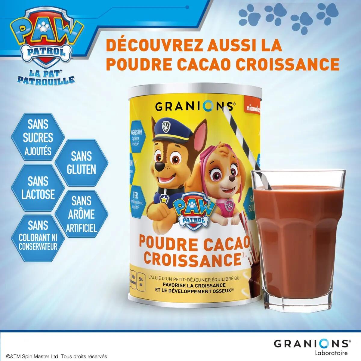 Pat Patrouille - Gummies Multivitamines - 60 Gummies - Fraise 7/7
