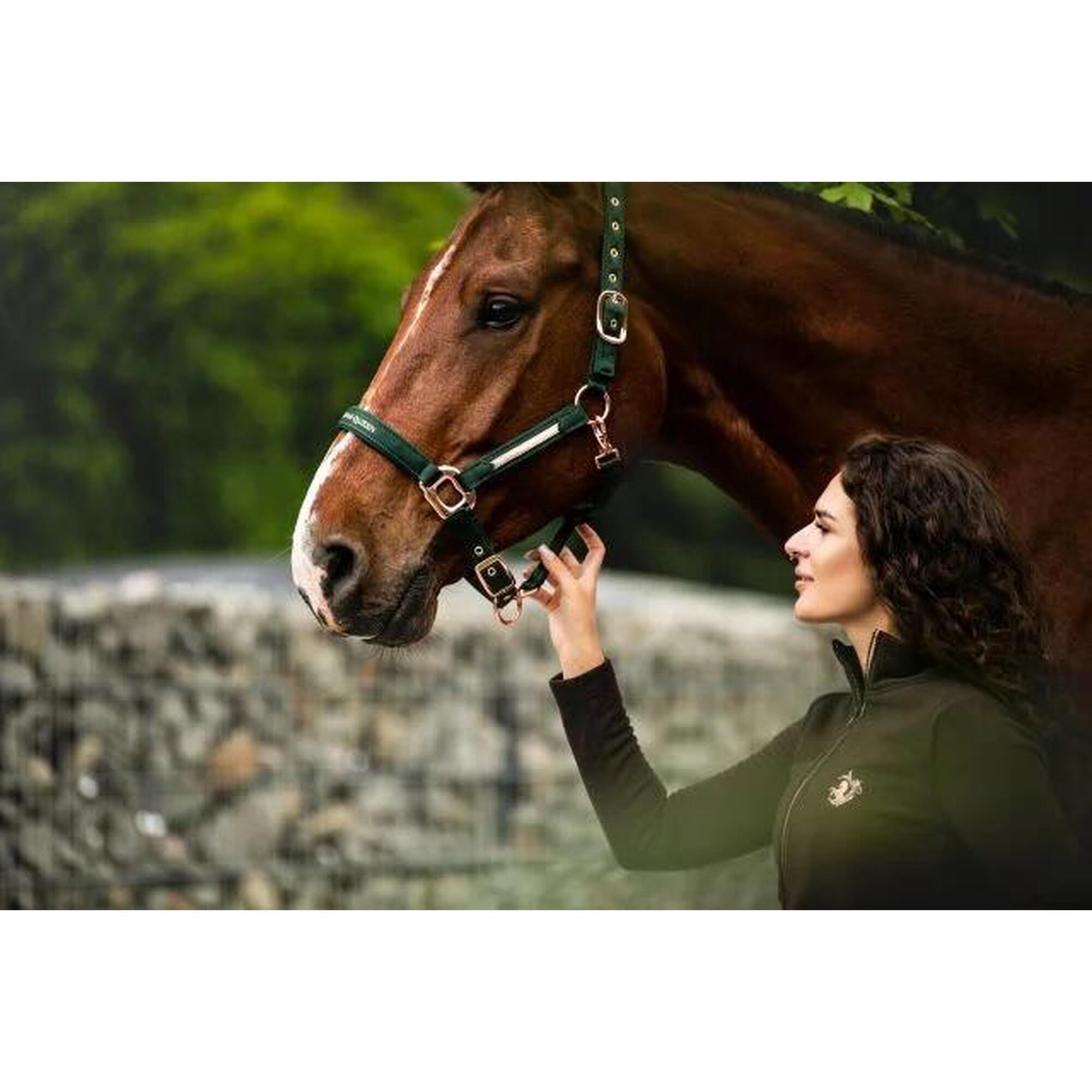Kantar dla konia Equestrian Queen Milan 23AW satynowy, ze złotymi sprzączkami