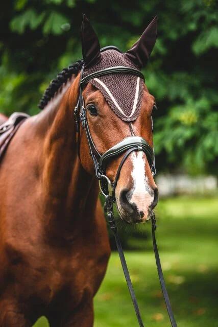 Nauszniki dla konia Equestrian Queen Milan 23AW błyszcząca lamówka