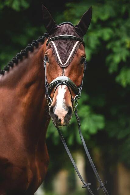EQUESTRIAN QUEEN Milan 23AW oorwarmers 3/3