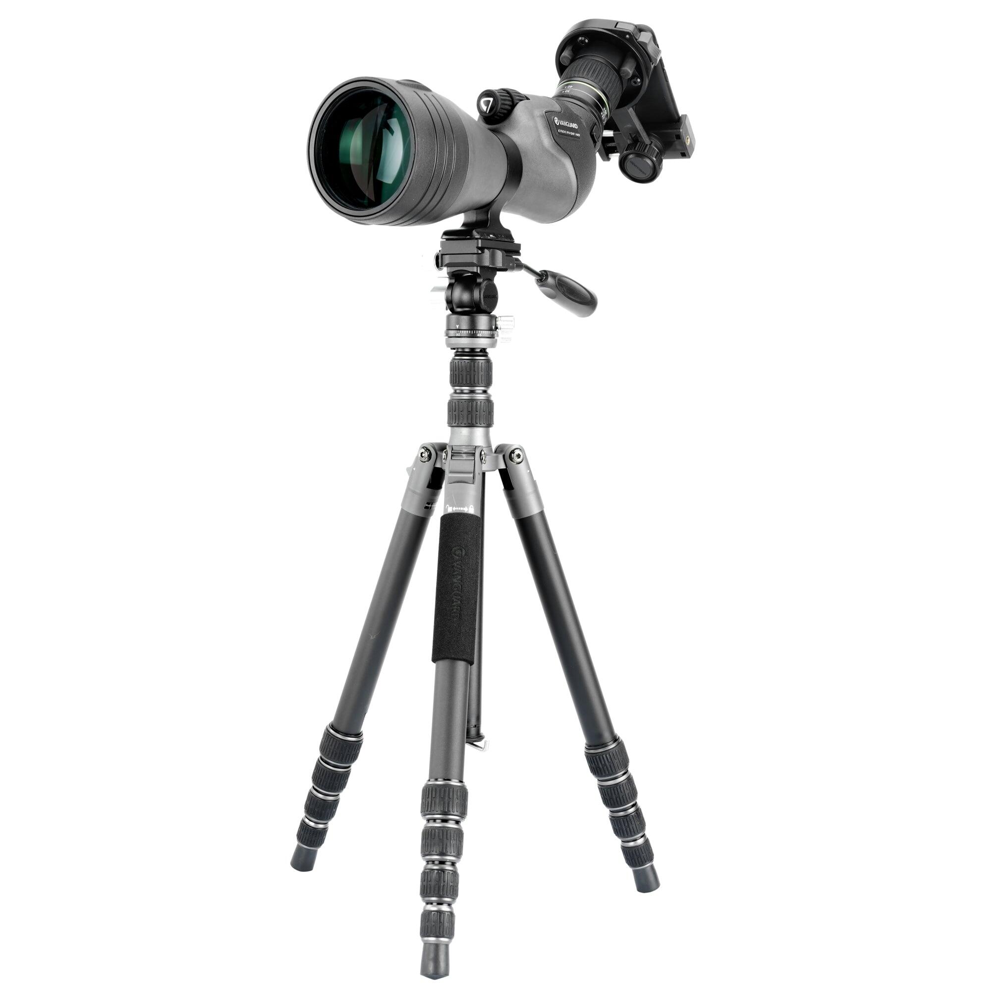 VANGUARD picture