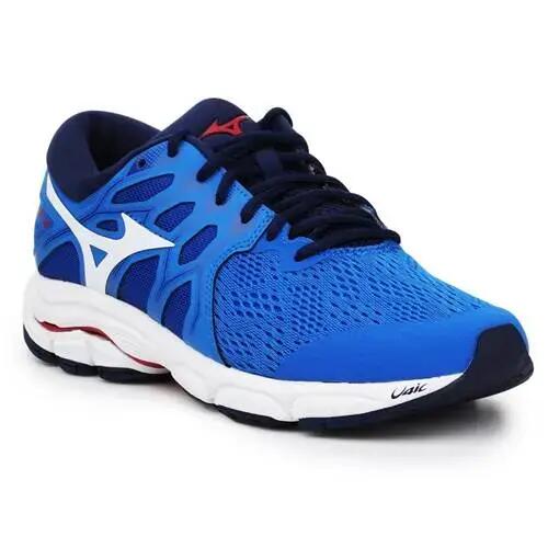 Running shoes Male Mizuno Wave Equate 4 Blue