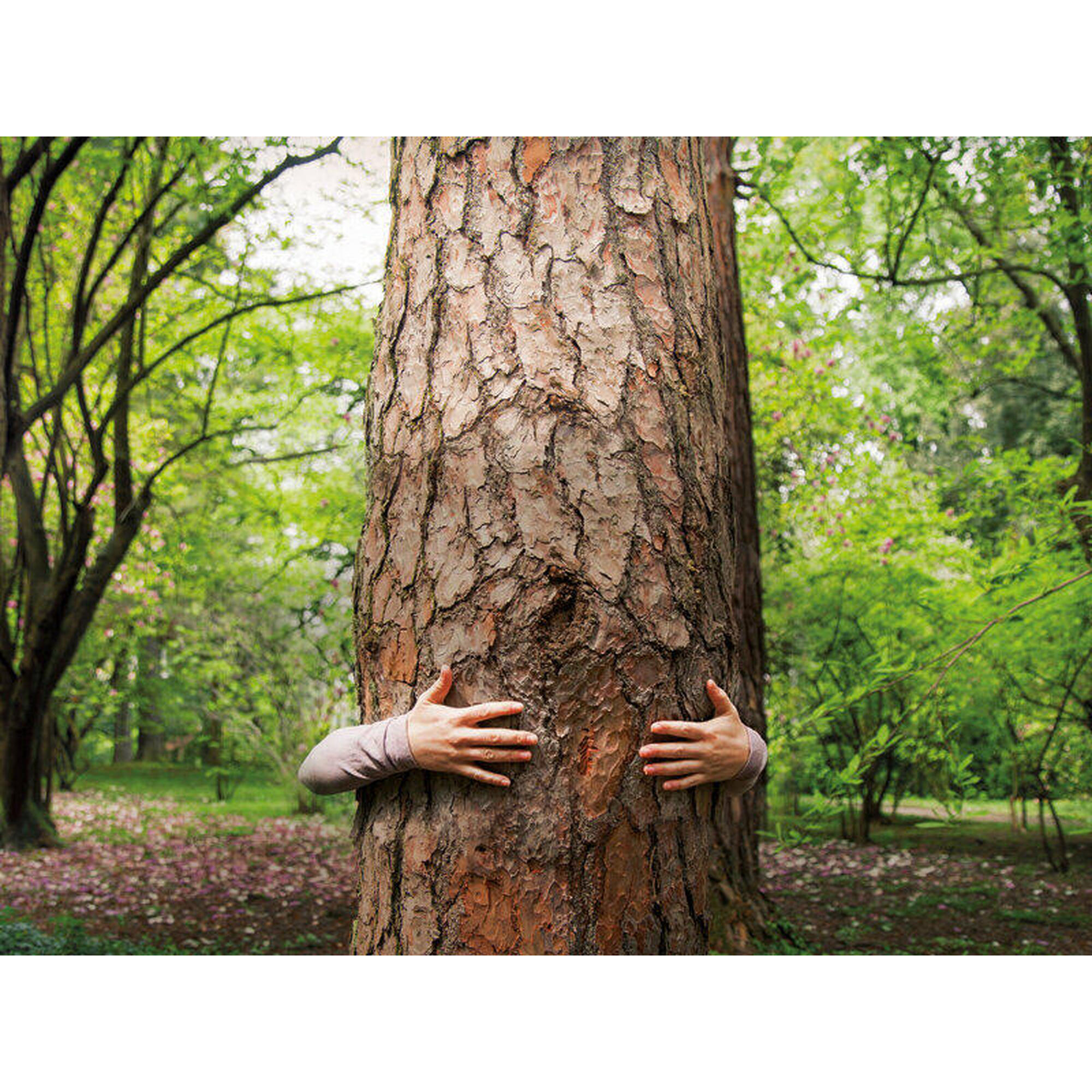 Activités découvertes & nature