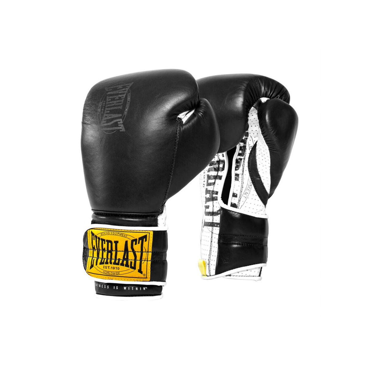 EVERLAST picture