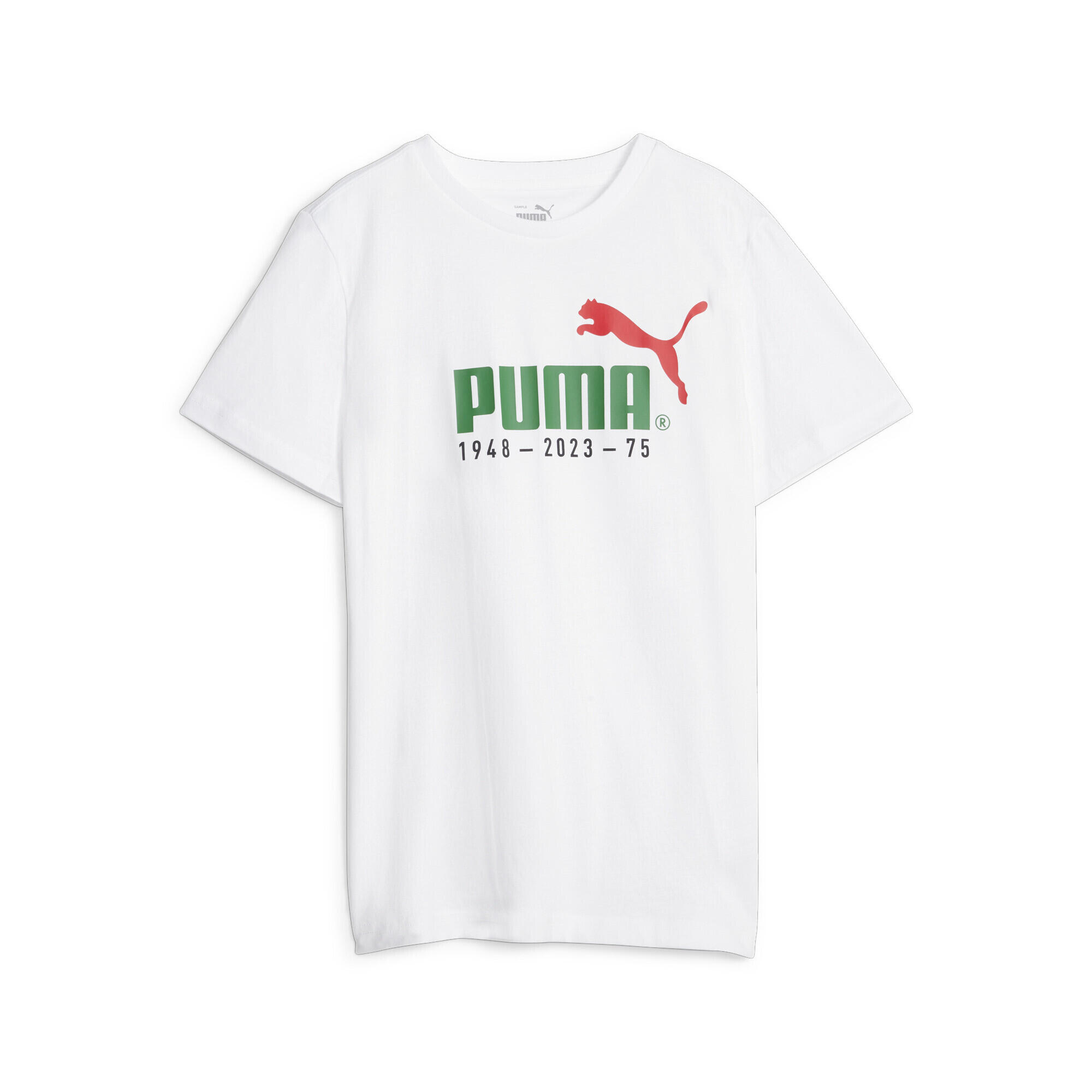 PUMA picture