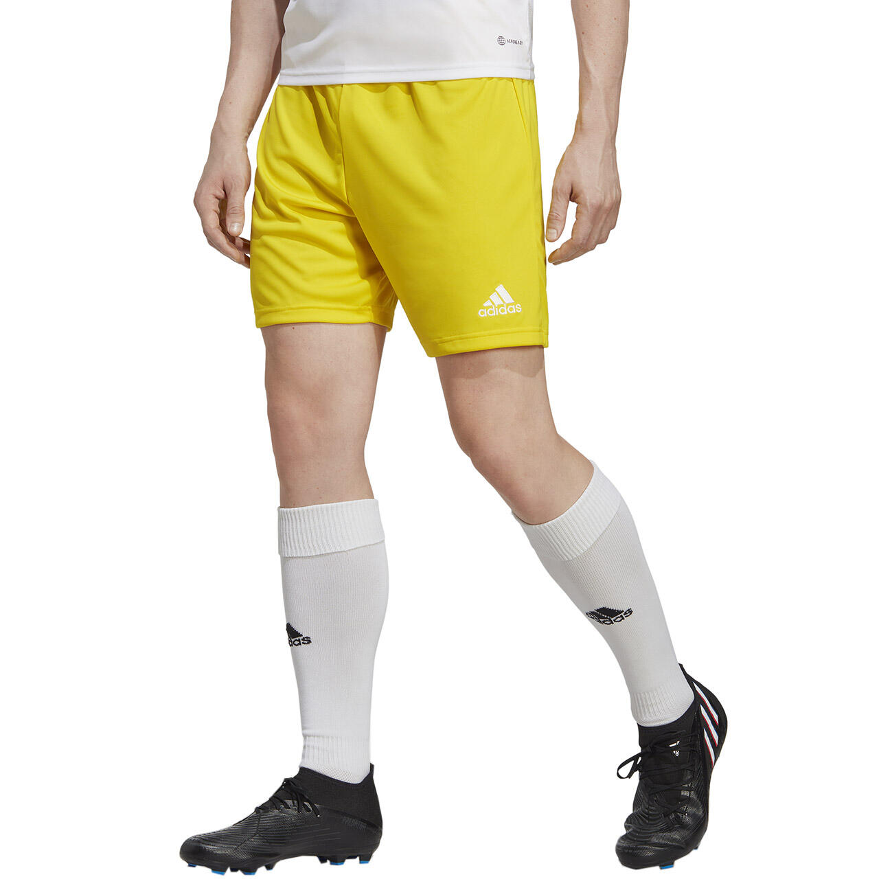 adidas Herren Short Entrada 22 Shorts 3/6