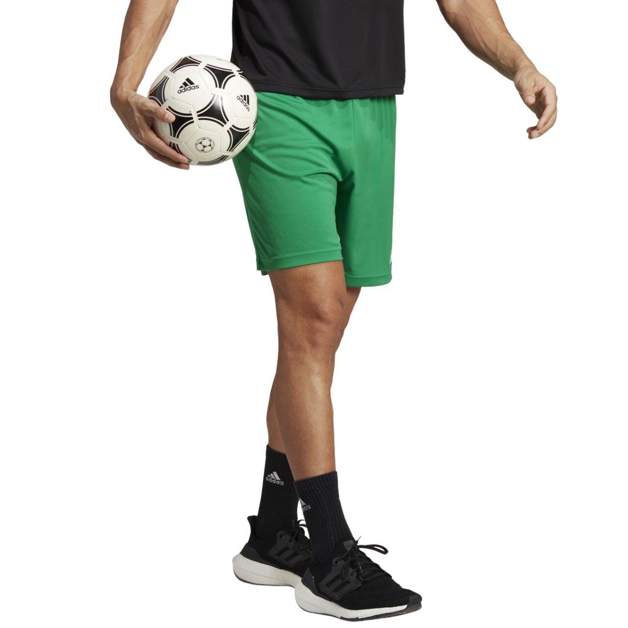 Corto Hombre Adidas Entrada 22 Verde 4/7