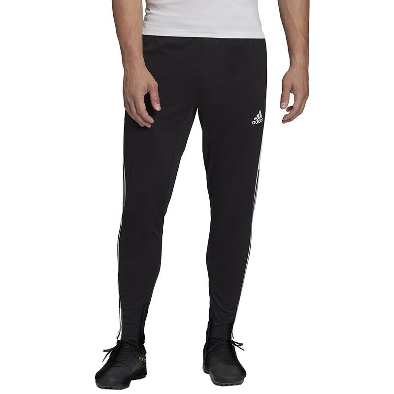 Trainingshose Condivo 22 Herren ADIDAS