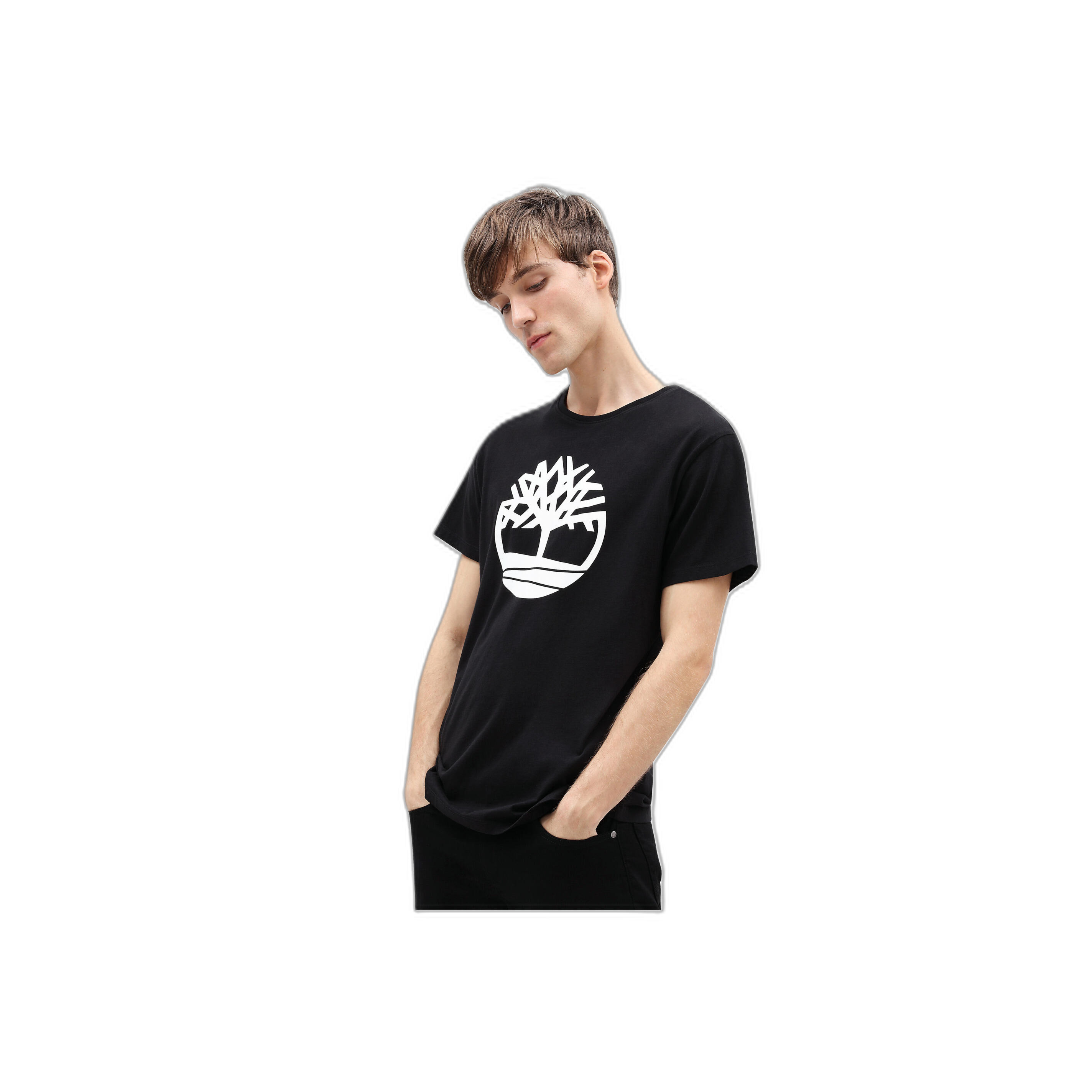 T-shirt Timberland Bio Brand Tree 2/3