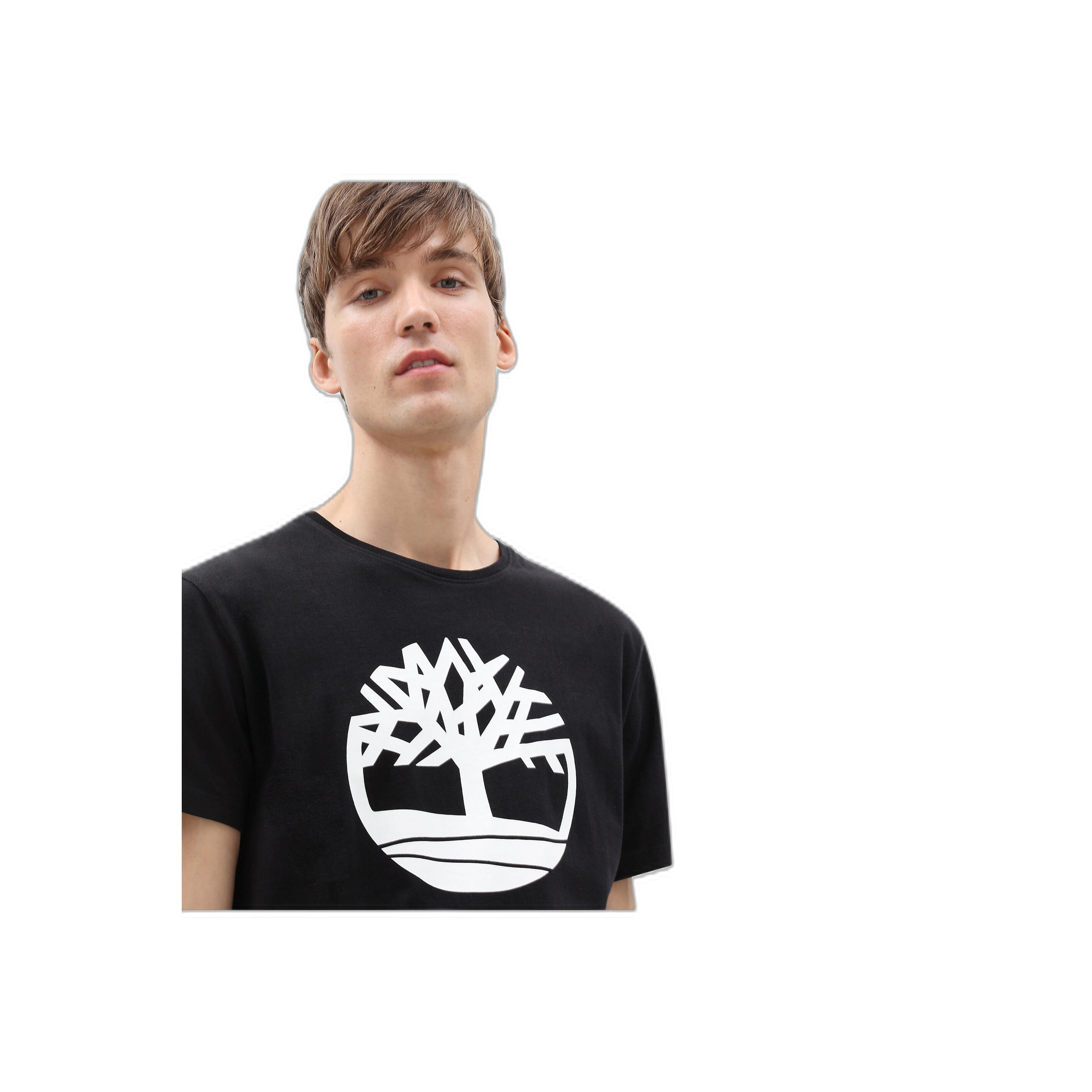 T-shirt Timberland Bio Brand Tree 3/3