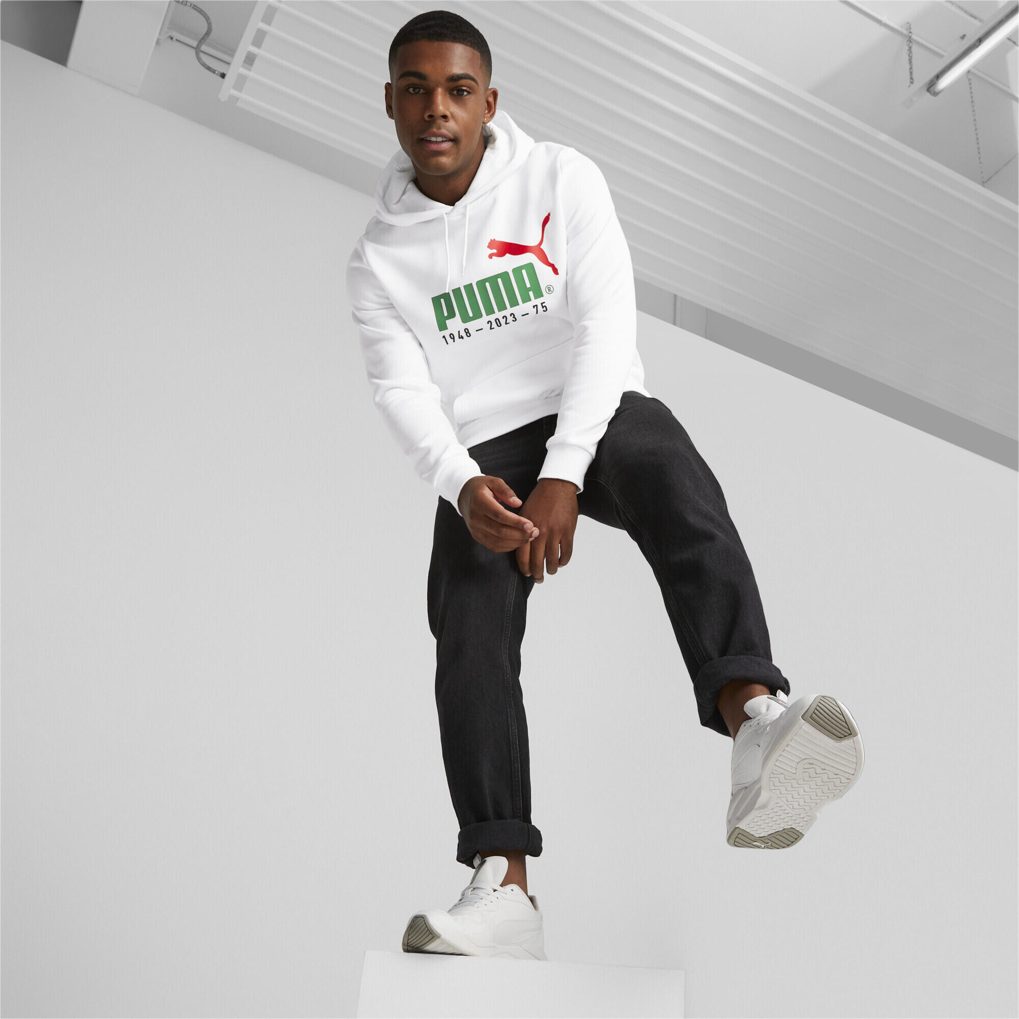 Sudadera No. 1 Logo Celebration Hombre PUMA White 3/6