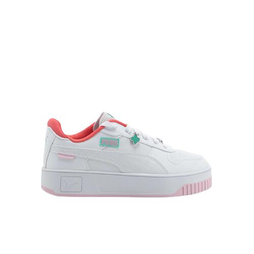 PUMA picture