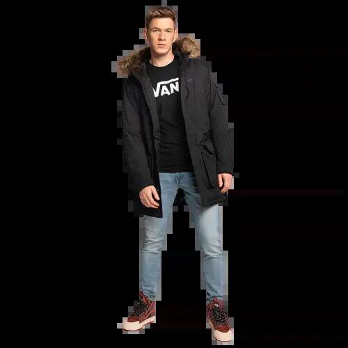 VANS picture