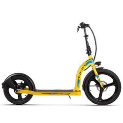 Elektrische  scooter H100 350W-36V-10Ah (360Wh) - 20" wiel