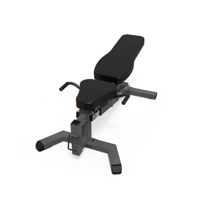 Banc multifonction ION Fitness FI504