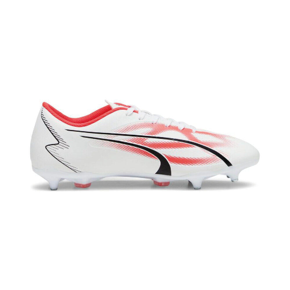 PUMA picture
