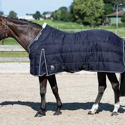 Stable blanket for horse Harry's Horse Highliner 500 gr