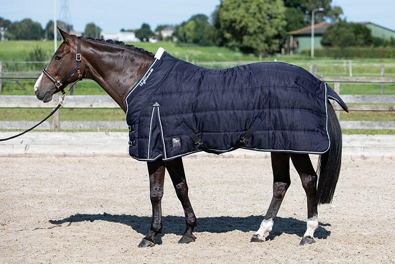 HARRYS HORSE picture