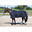 Staldeken voor paarden Harry's Horse Highliner 500 gr
