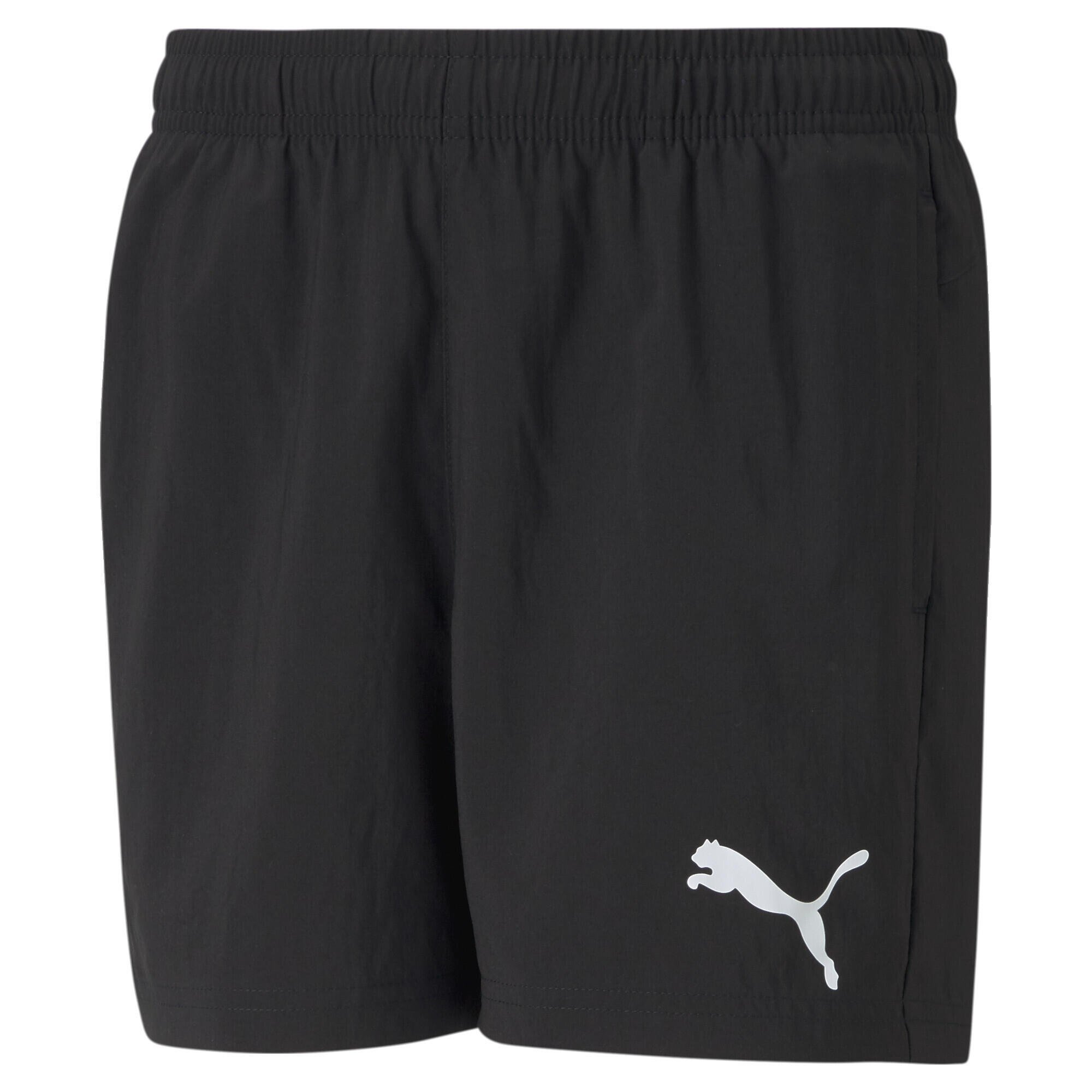 PUMA picture