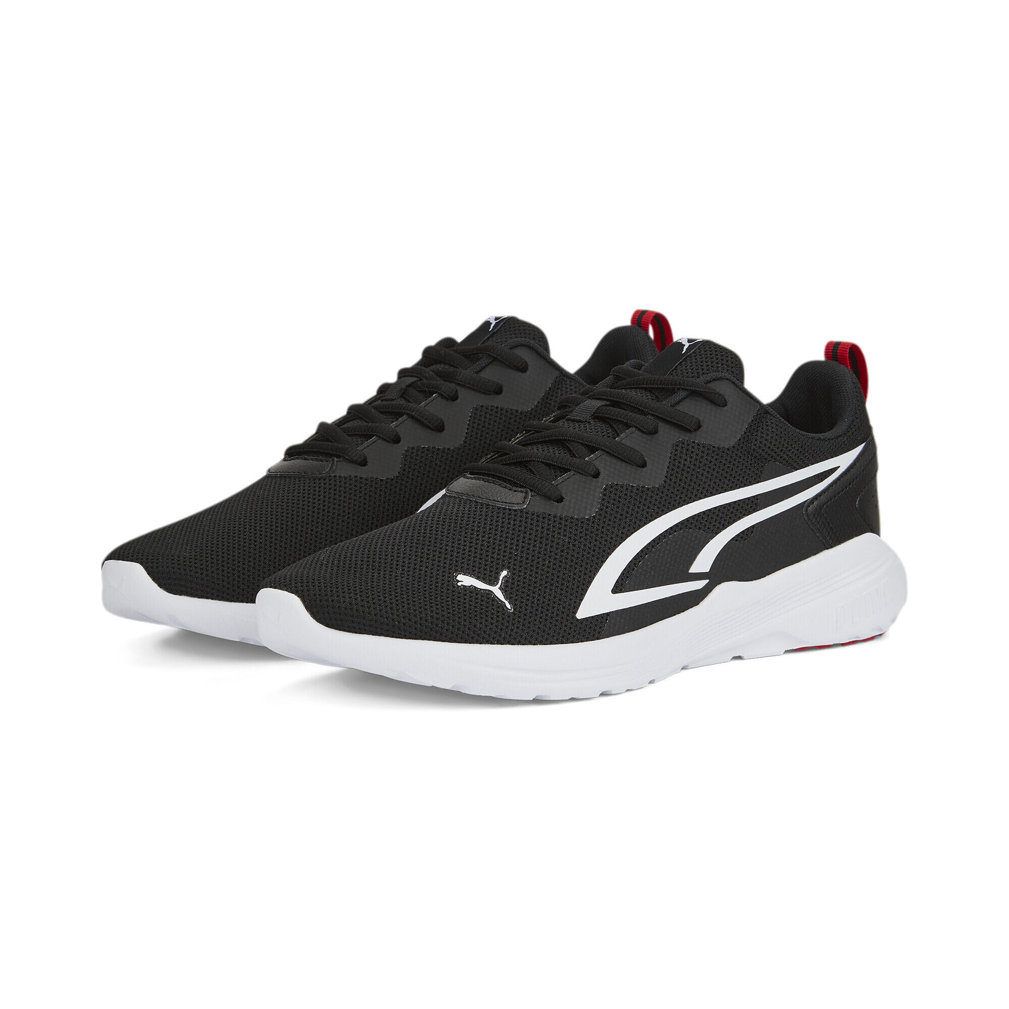PUMA picture