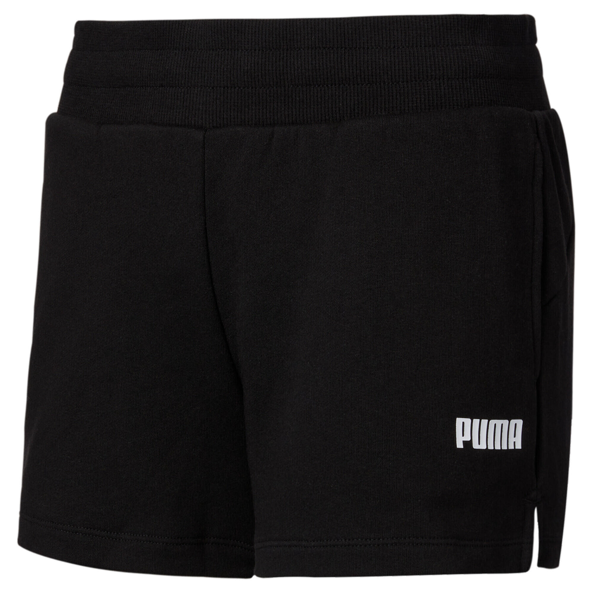 PUMA picture