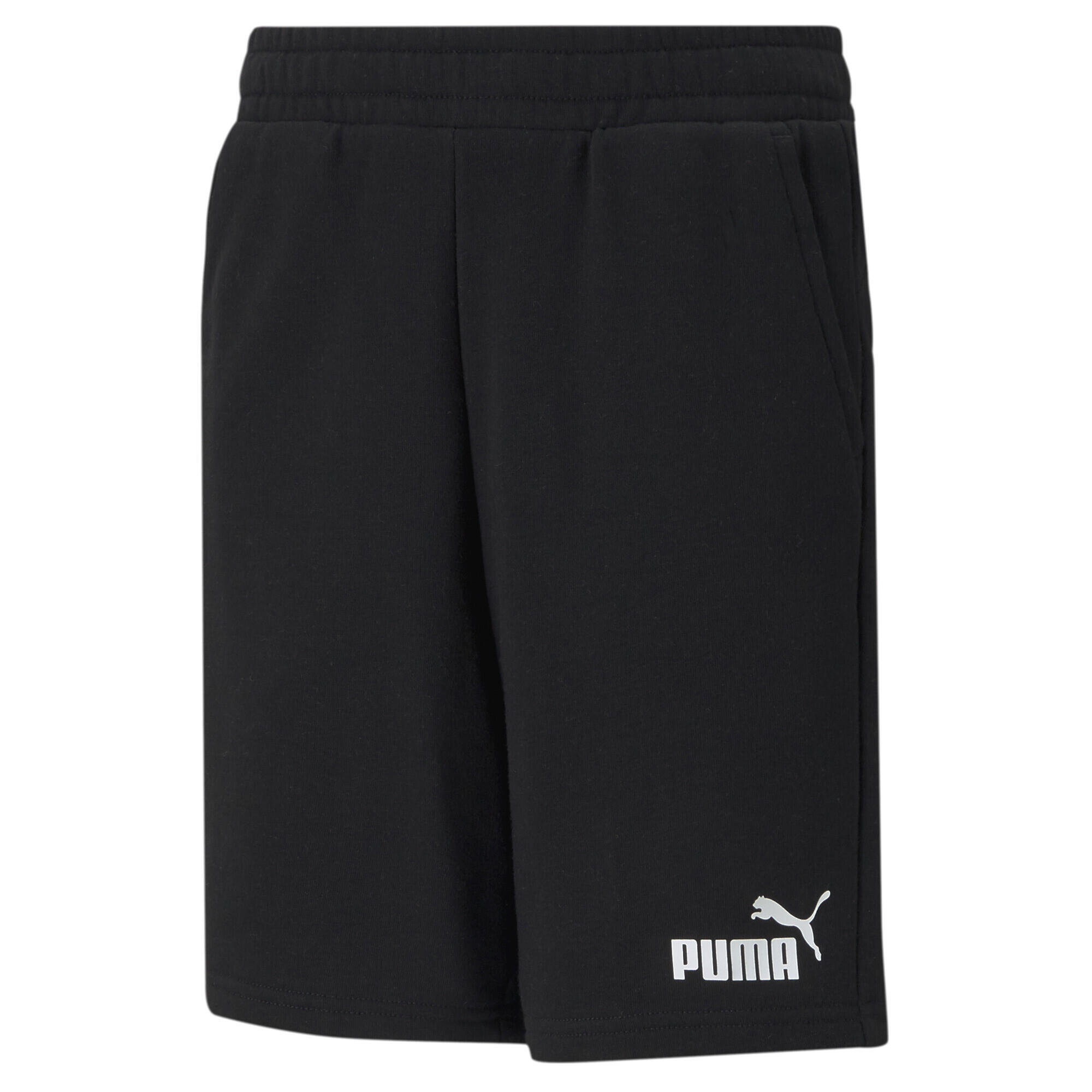 PUMA picture