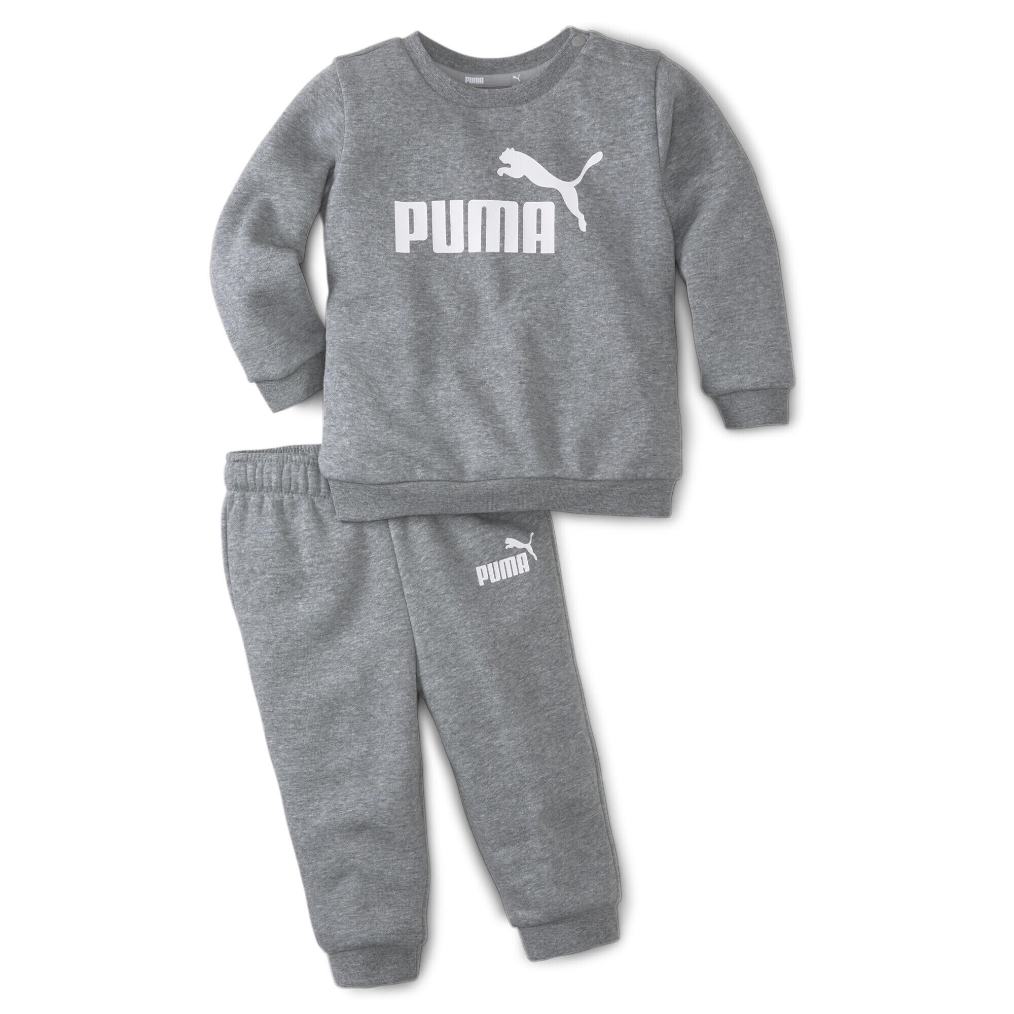 PUMA picture