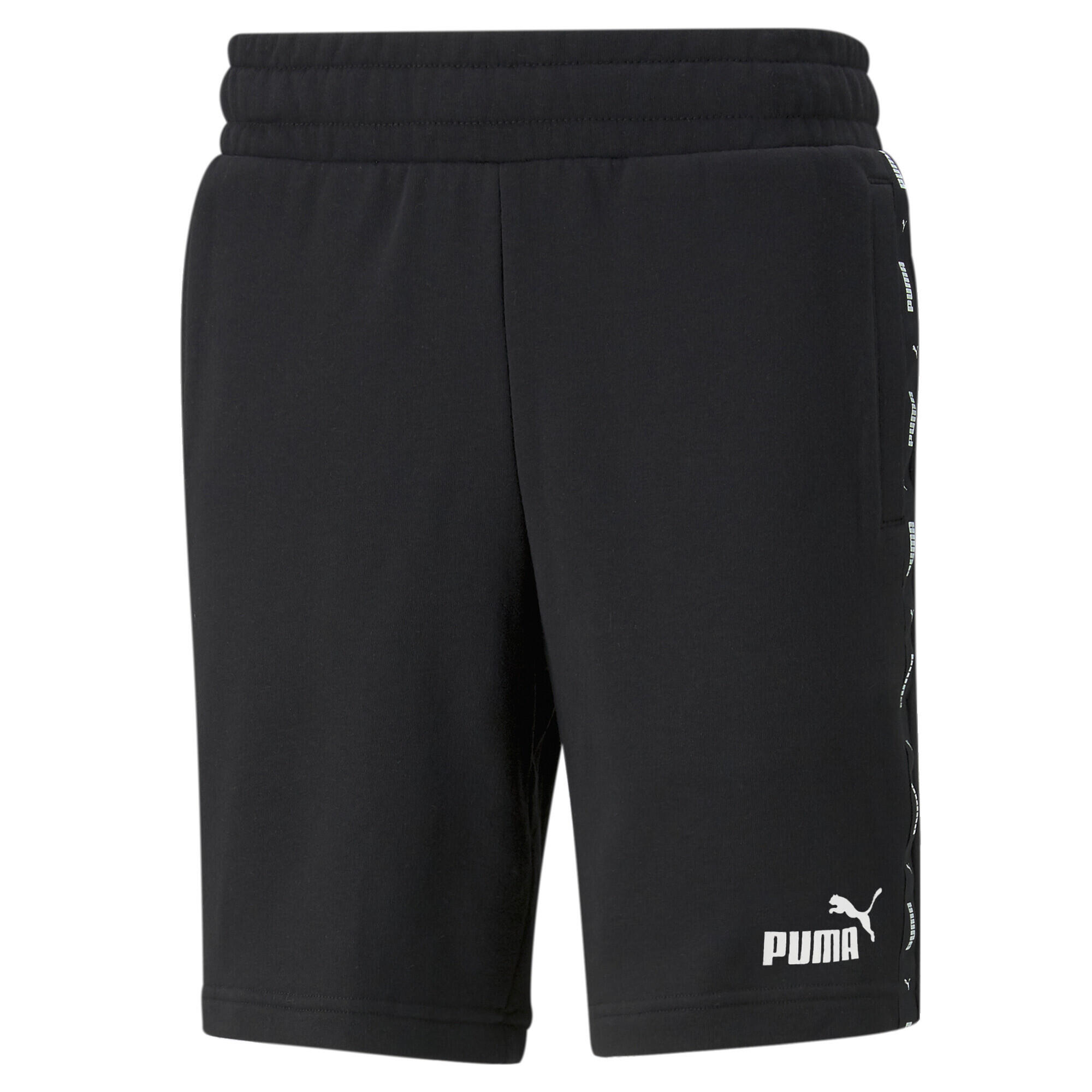 PUMA picture