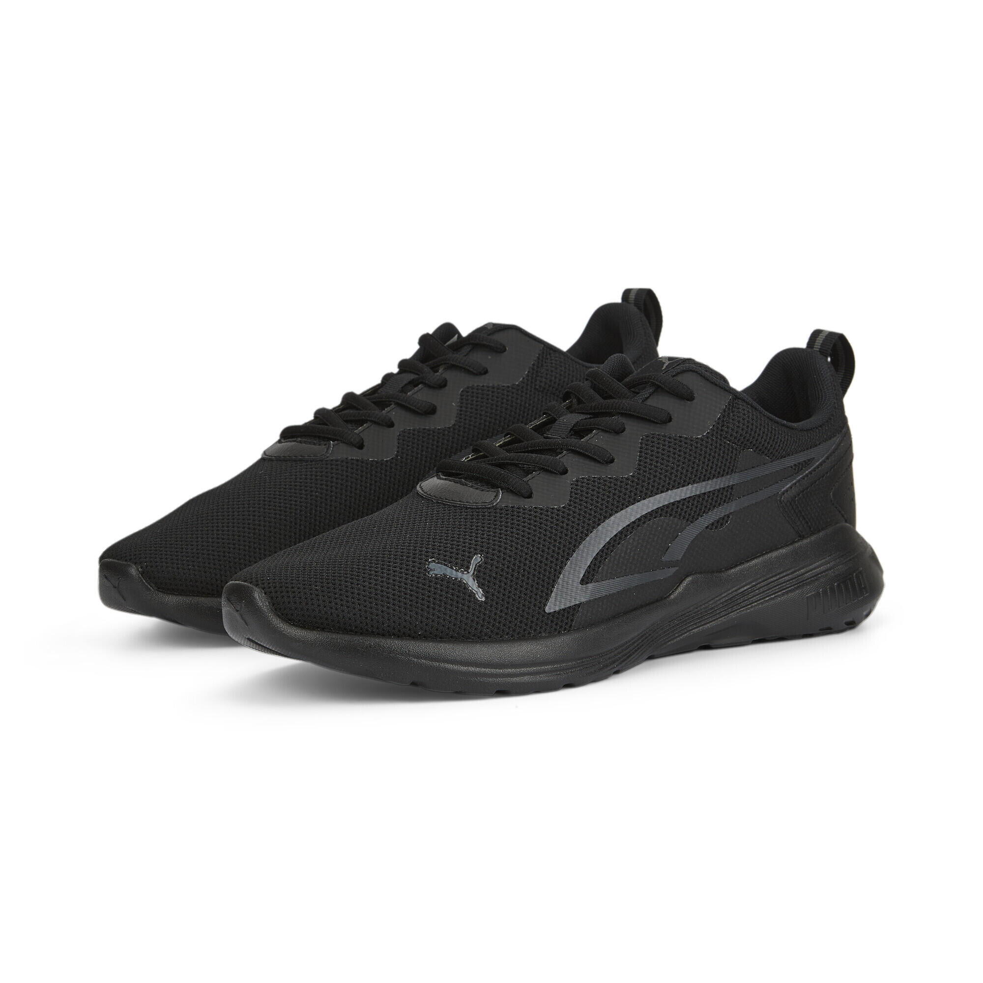 PUMA picture