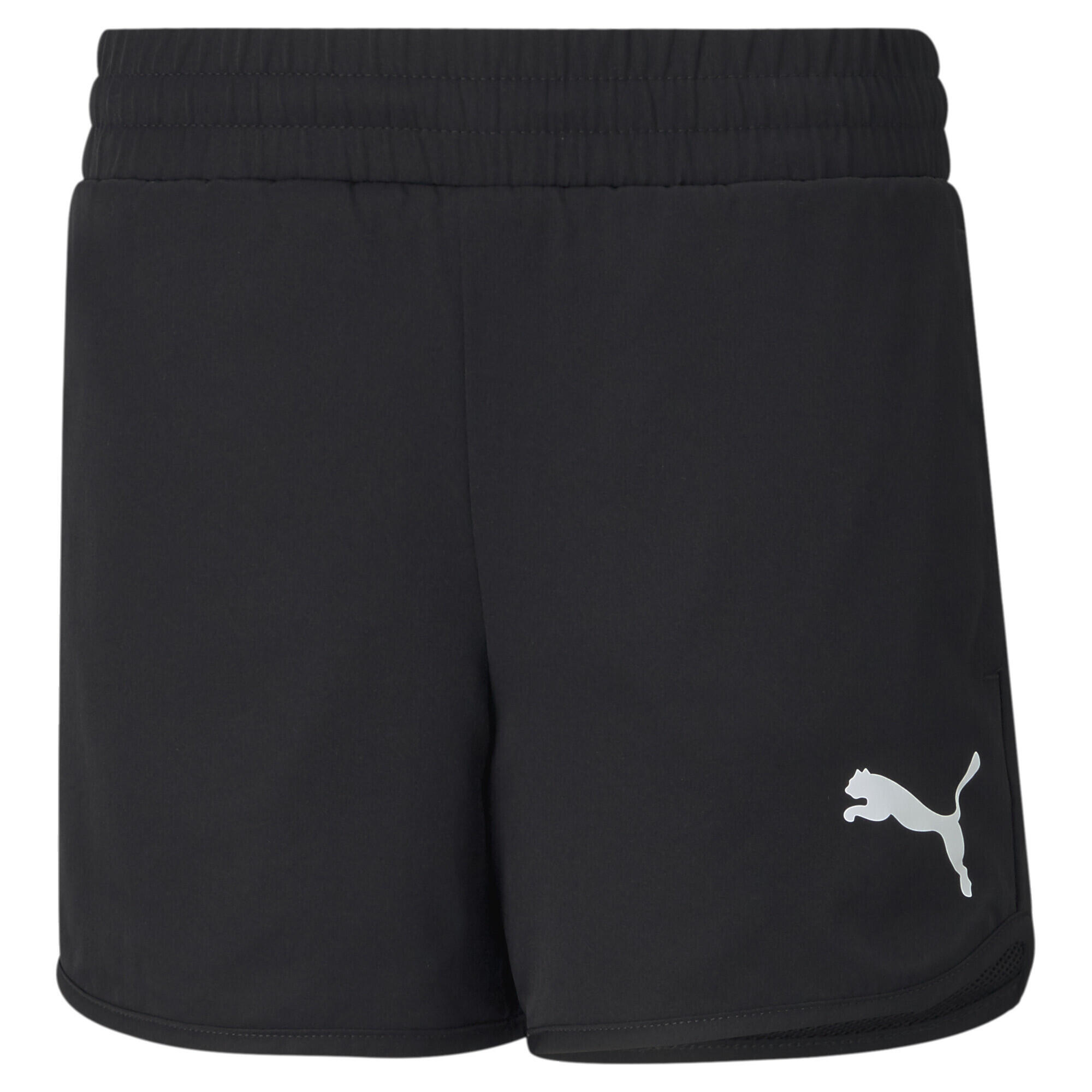 PUMA picture