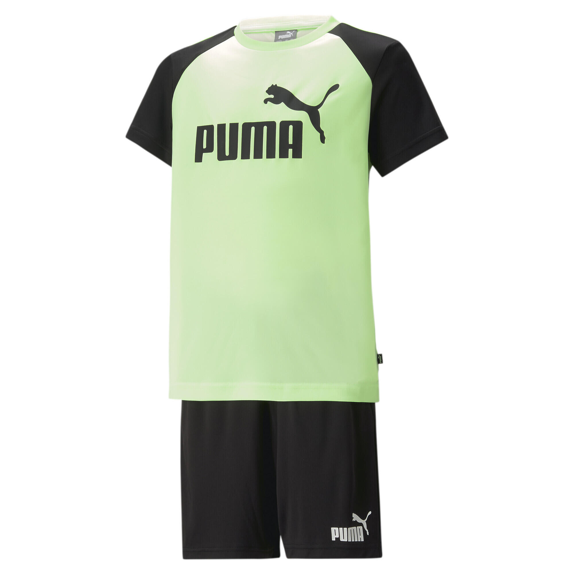 PUMA picture