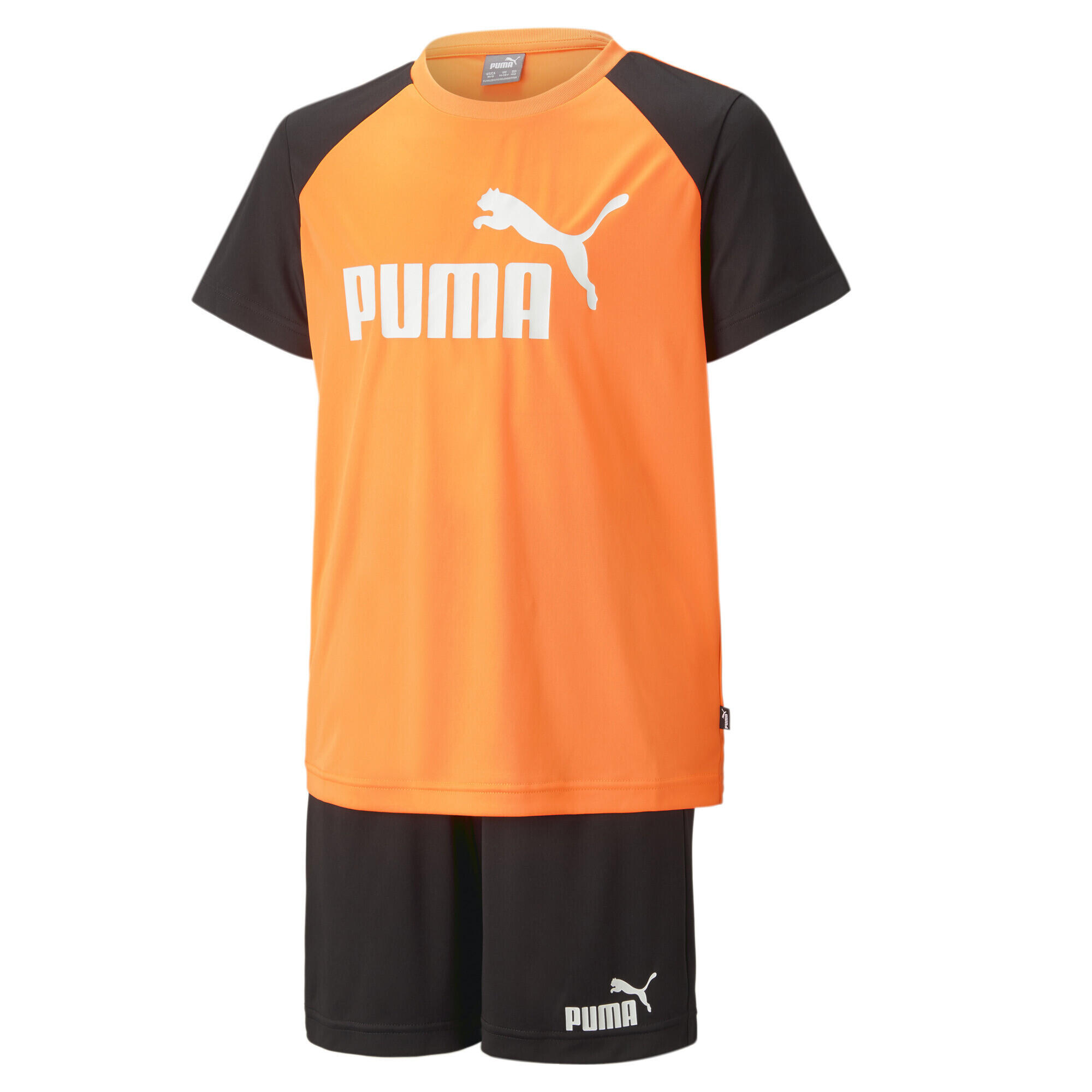 PUMA picture