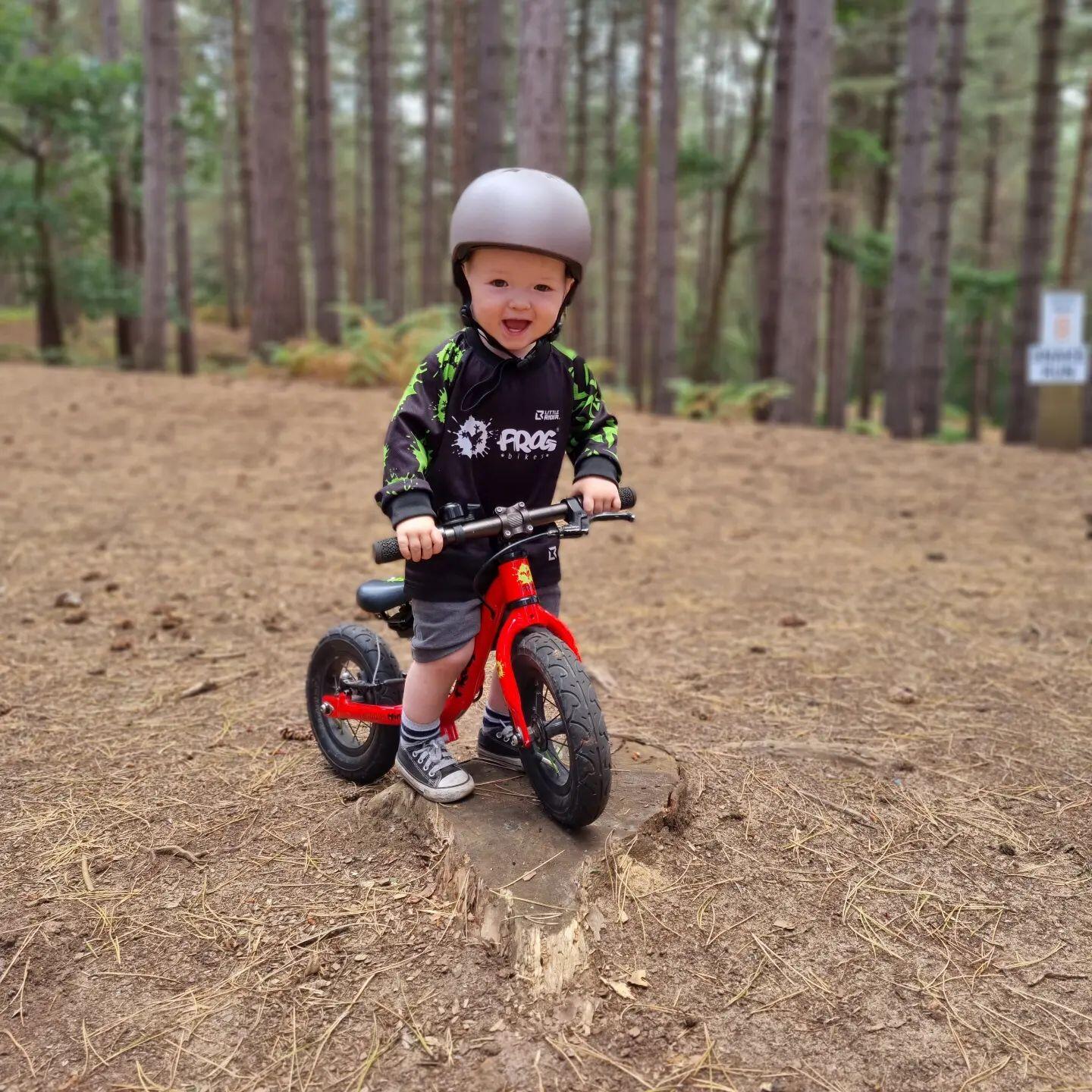 Tadpole Mini 10 Inch Lightweight Kids Balance Bike For 18 Months-2 Years - Red 5/6