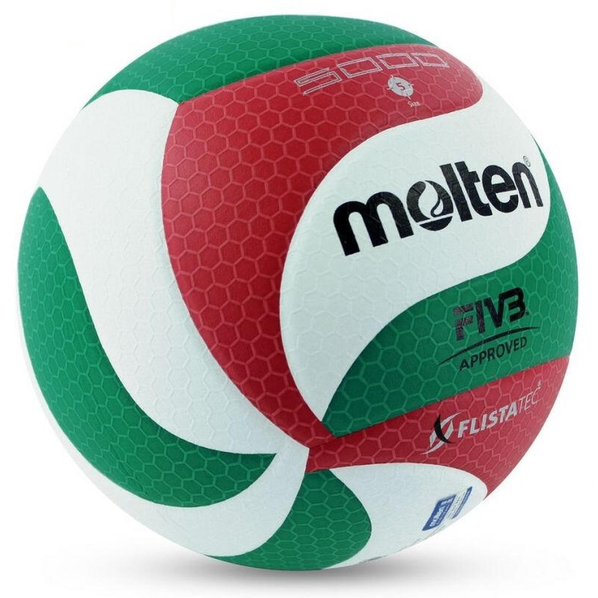 Ballon de Volleyball Molten V5M5000