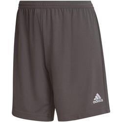 Short femme adidas Entrada 22 blanc