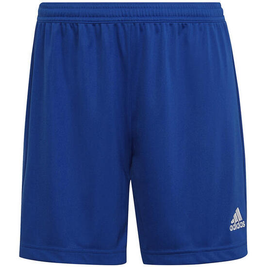 Short femme adidas Entrada 22