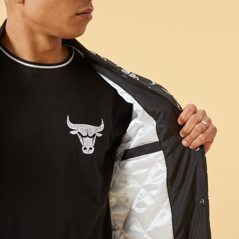 Logo jasje Chicago Bulls 5/6