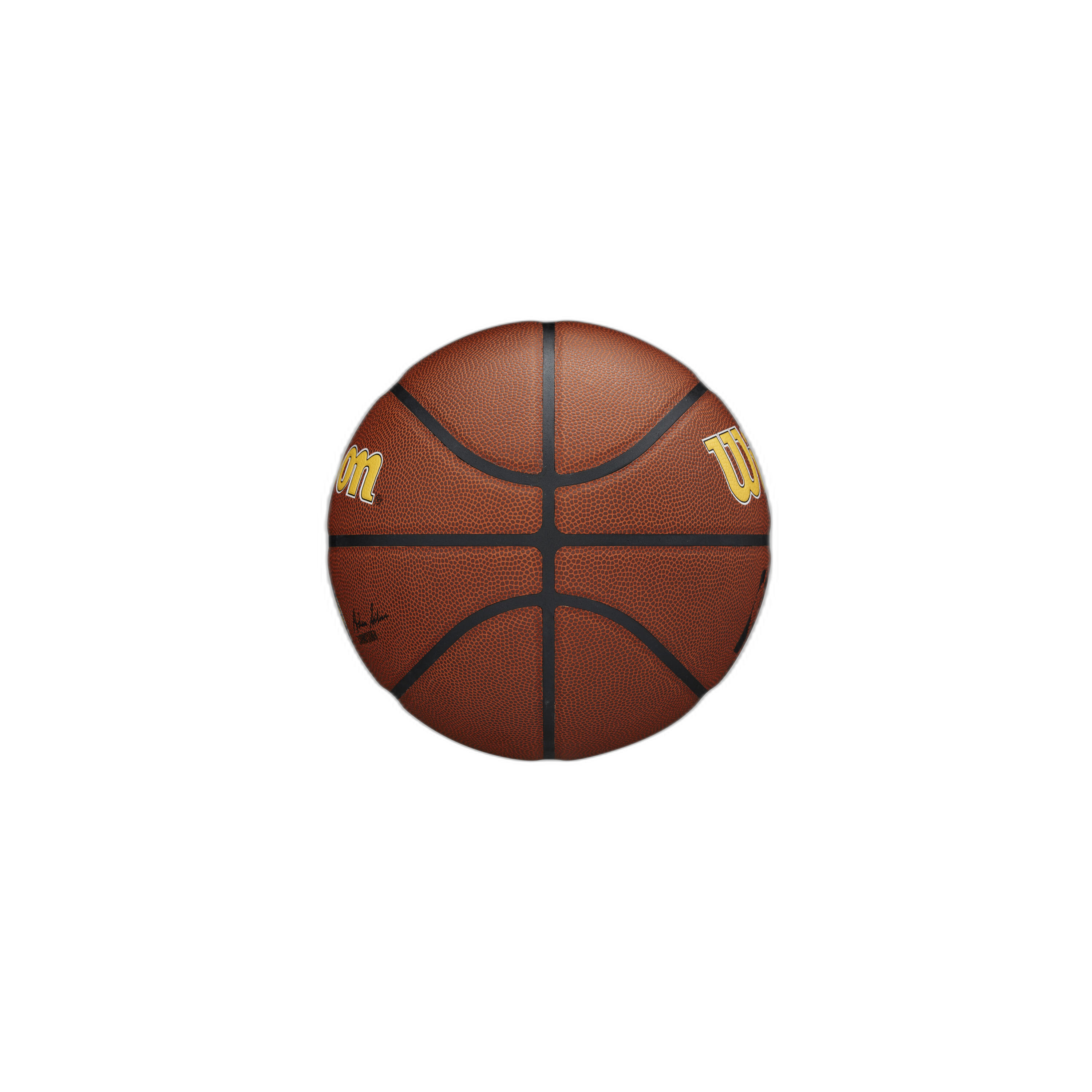 Indiana Pacers NBA Team Alliance Ball