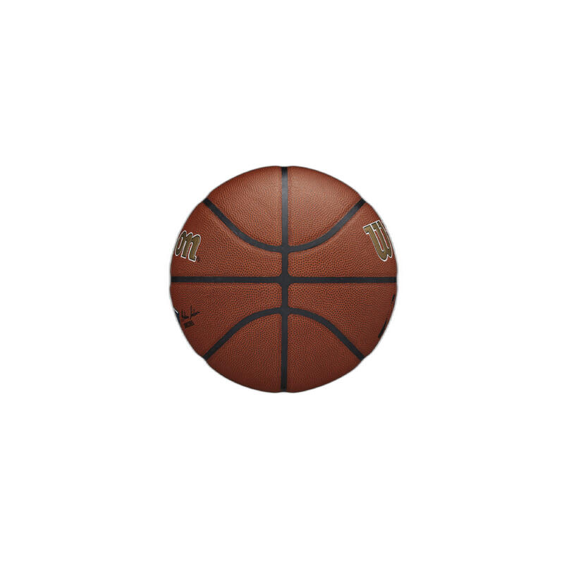 Ballon de Basketball Wilson NBA Team Alliance – New Orleans Pelicans