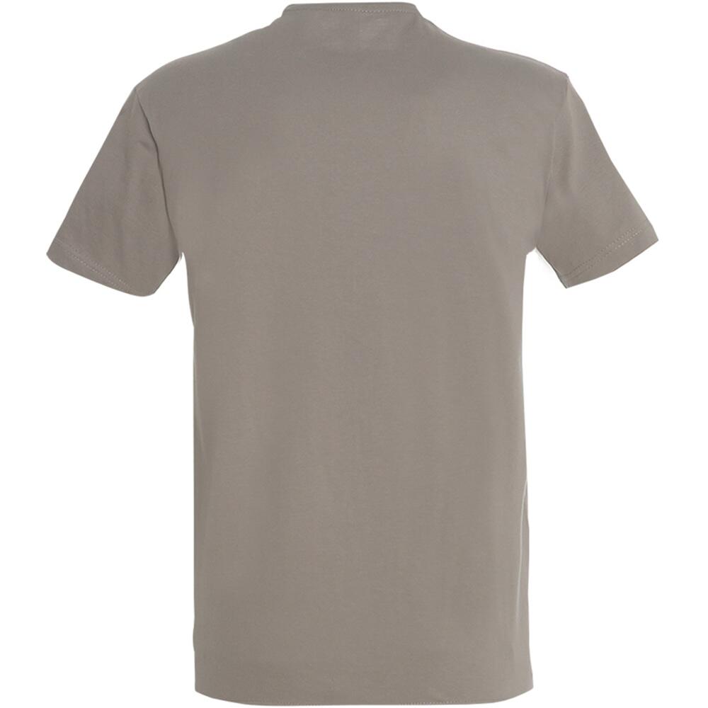 Imperial TShirt, Kurzarm Herren Hellgrau 2/3