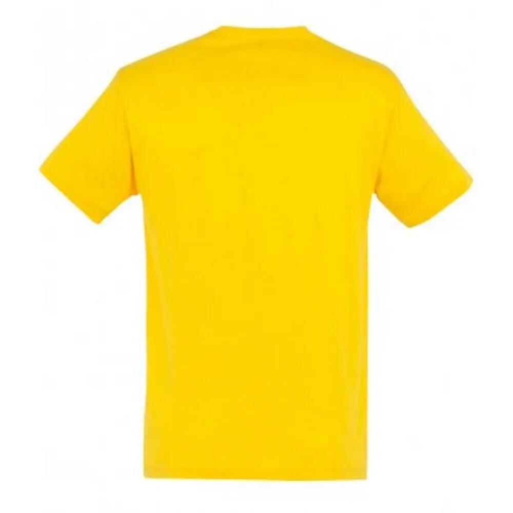 Tshirt REGENT Homme (Jaune) 2/3