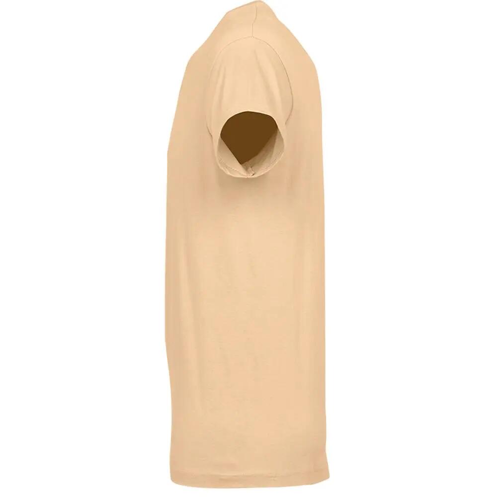 Tshirt REGENT Homme (Beige) 3/4