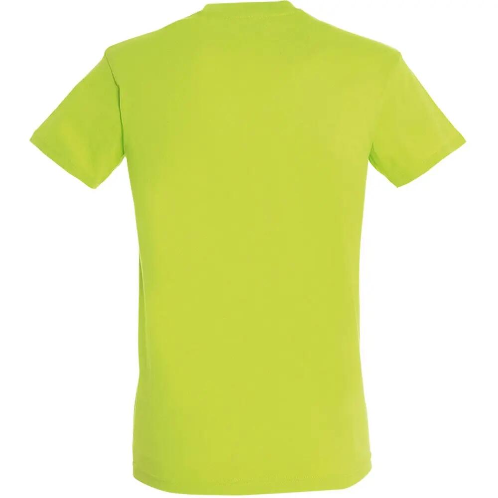 Tshirt REGENT Homme (Vert clair) 2/4