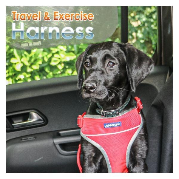 Ancol Travel & Exercise Dog Harness 3/3