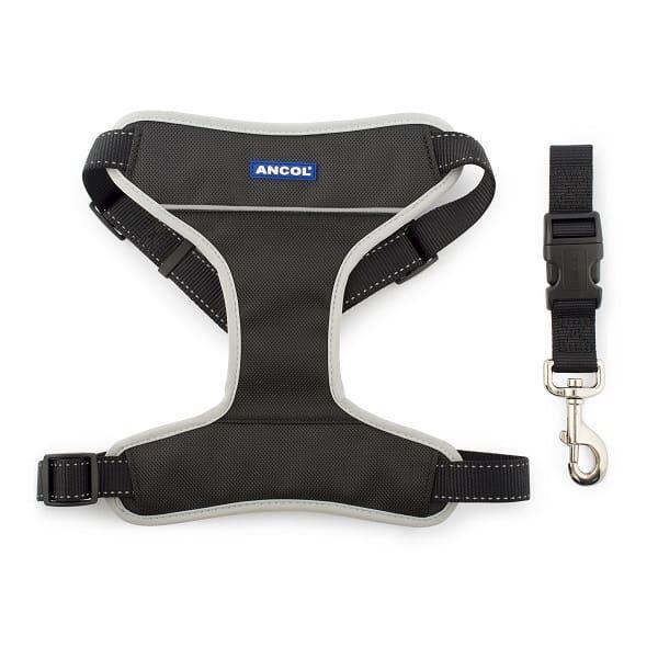 ANCOL picture