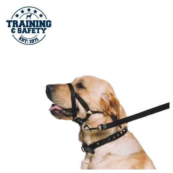 Licol d'éducation pour contrôler le chien Taille S 1/2 2/7